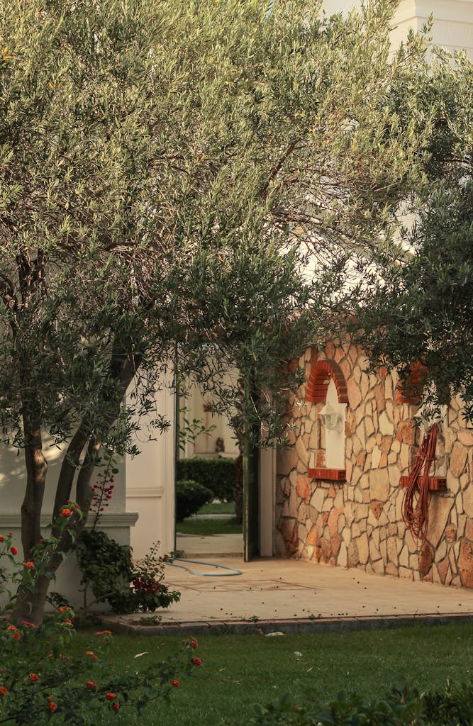 A stone wall with a tree in front of it